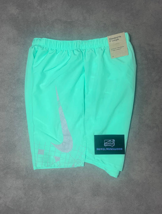 Nike run division shorts - mint